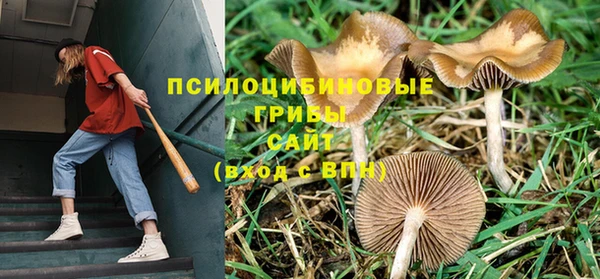 тгк Бугульма