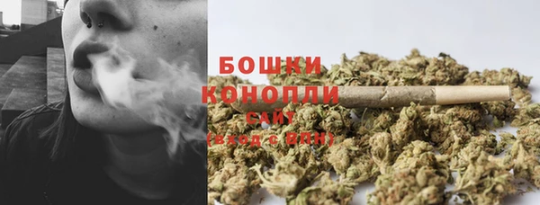 тгк Бородино