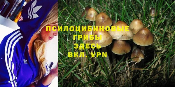 тгк Бугульма