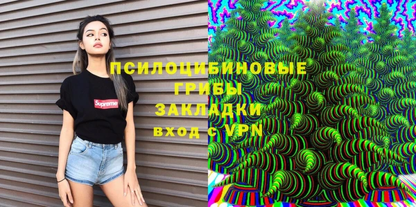 тгк Бородино