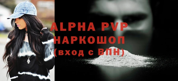 тгк Бородино