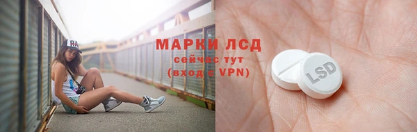 тгк Бородино