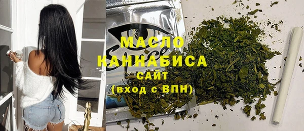 тгк Бородино