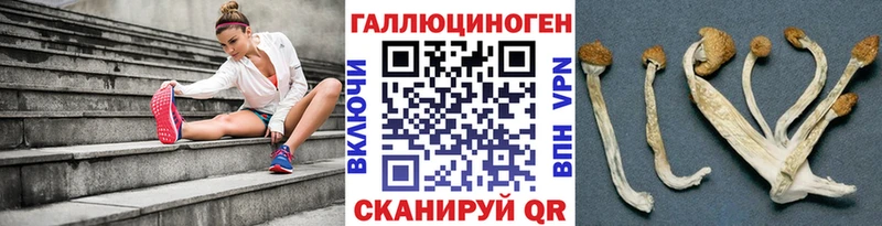 Псилоцибиновые грибы MAGIC MUSHROOMS  Волоколамск 