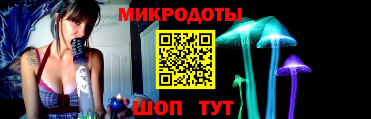 Псилоцибиновые грибы Psilocybine cubensis  Вход с VPN  Волоколамск 